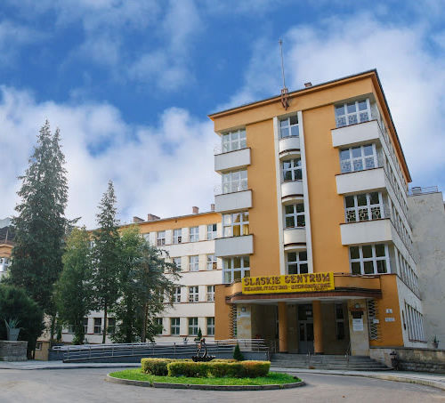 Modernizacja systemu sygnalizacji alarmu pożaru w Śląskim Centrum Rehabilitacyjno - Uzdrowiskowym ul. Dietla 5, 34-700 Rabka -Zdrój